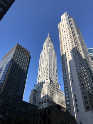 IMG_8677.jpg