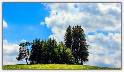 Bavarian Landscape in summer