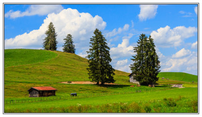 Bavarian landscape in summer
