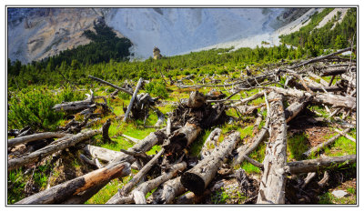 climatic change in the mountains