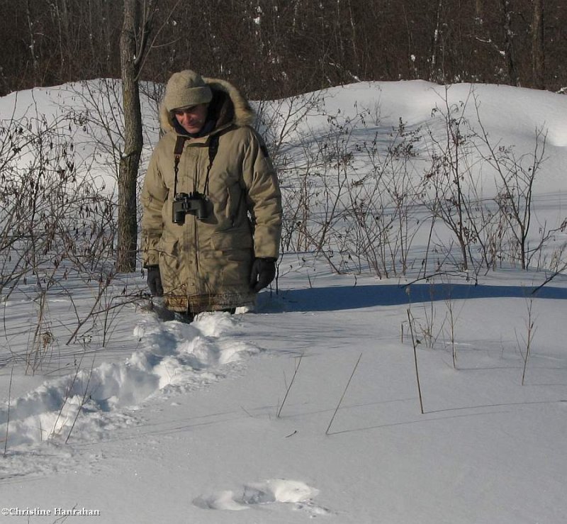 Winter:  Ten years ago