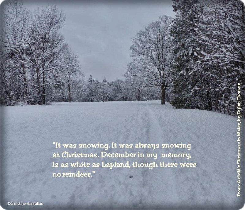 #23: Always snowing in December...