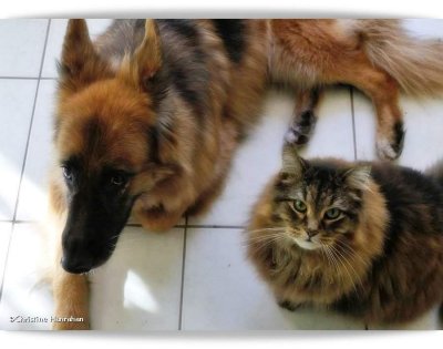 Sasha  and Grendel
