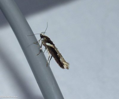 g10/50/883250/3/167590242.jMYK9xDR.jpg