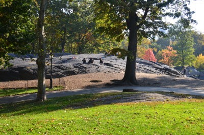 Central Park, NYC
