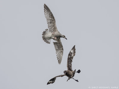 g10/50/890750/3/166335592.S4lahU2p.jpg