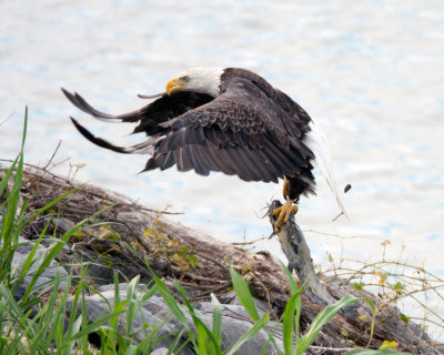 sIMG_0132b.jpg