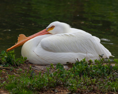 IMG_6809.jpg
