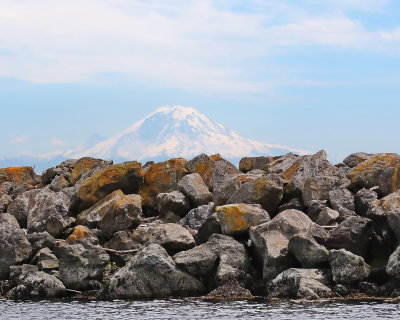 78_Mt_Rainier_over_breakwater_1818.JPG