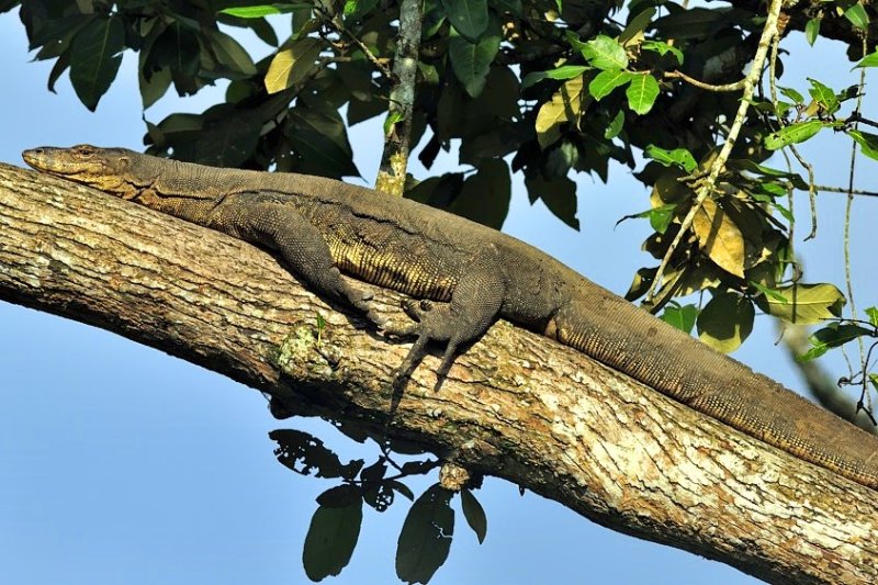 Basking in the Sun