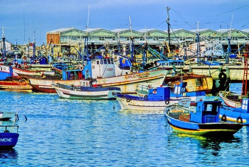 Once Mighty Fishing Fleet
