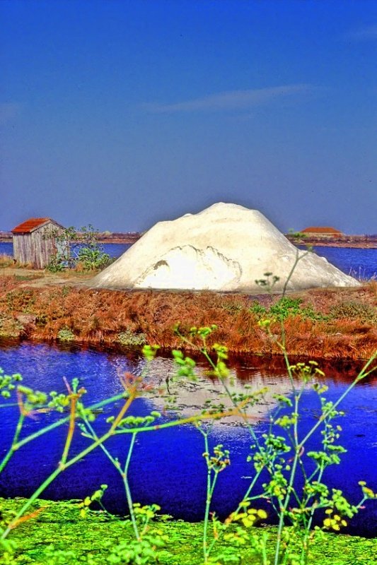 The Salt Mound