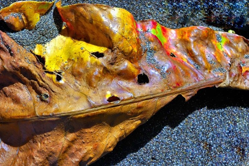 The Inexorable Changes Of Decay