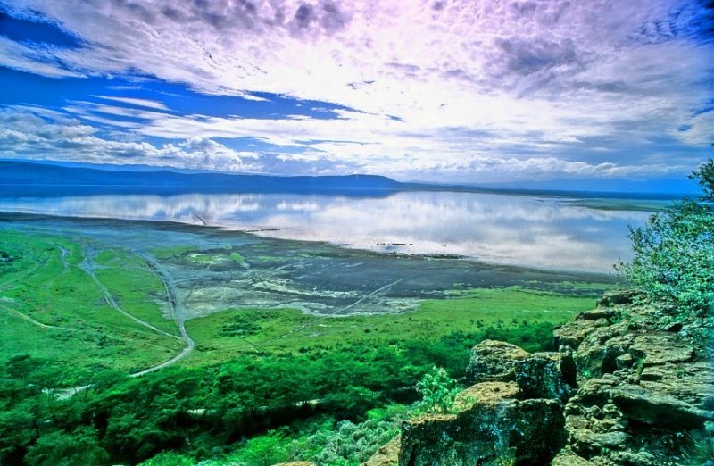 Lake Nakuru Overhead