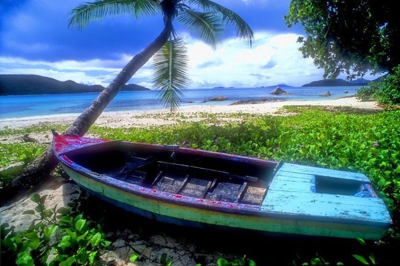 Abandoned Boat