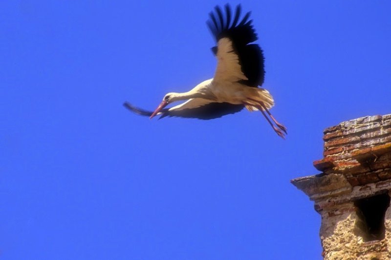 Lift Off From Gone Castle 