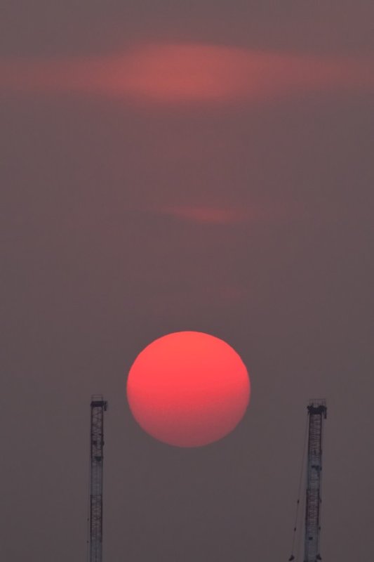 Setting Between Cranes