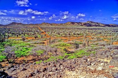 Bonaire Interior