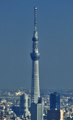 SkyTree From Tokyo Tower