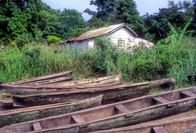 The Palace and the Fishing Fleet