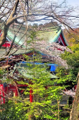 Shrine In Spring