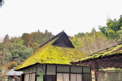 The House of Nagatani Souen, The 'Inventor' of Green Tea