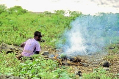 Pink Shirt Boy Burning Wood By The Sea 