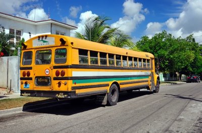 School Bus Cuban Style