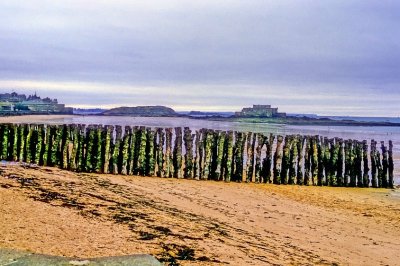 A Beach In Britanny