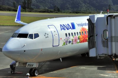 ANA's New B-737/800, JA85AN, Flower Power, Just Arrived At Gate
