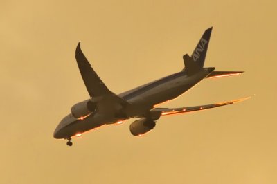 ANA's 1st B-787-8, JA801A, Landing At Sunset