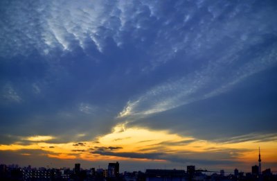 Tokyo Skyline After Sunset