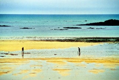 Digging For Seashells At Low Tide 