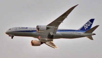 ANA's 1st B-787-8, JA801A, Lowering Gear At Sunset
