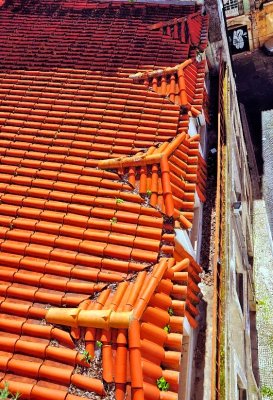 Traditional Roofs