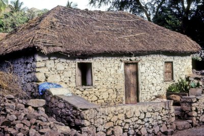 Traditional House: Never Again