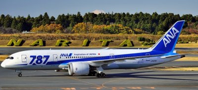 ANA's B787-8, JA813A, Narita And Mount Fuji Behind