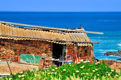 The 'Palace' With A View