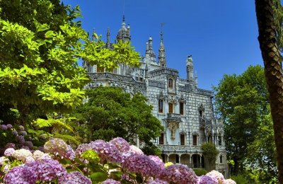 The Palace And Hortensias