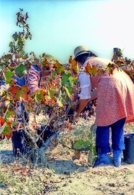 Women Doing The Vintage