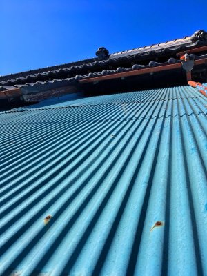 The Blues: Sky And Roof