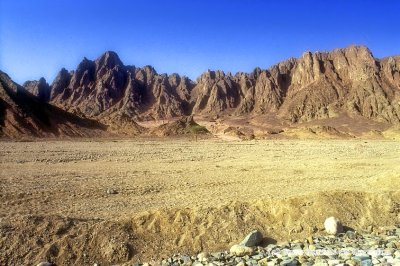 The End Of Sinai