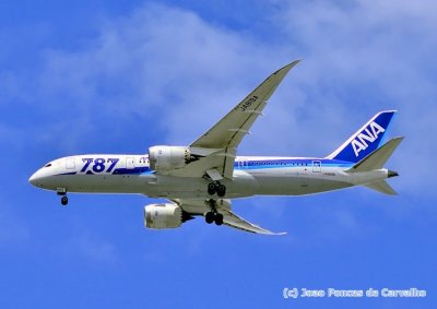 ANA's B-787-8, JA819A