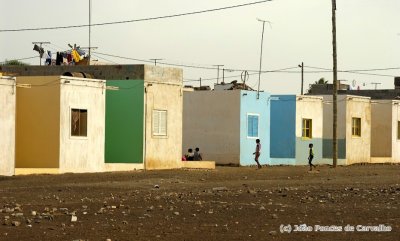 The Houses In the Desert