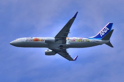 ANA B-737/800, JA85AN, Flowerpower