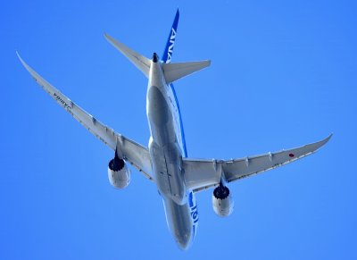 ANA's B 787-JA818A, Overhead