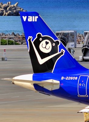 Panda Tail: V Air A321 B-22608