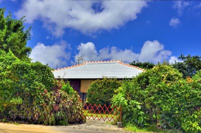 Typical Okinawa Roof