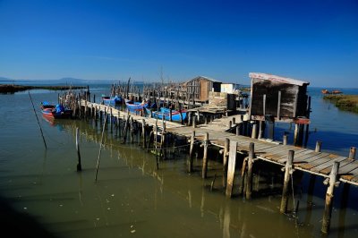 The Palafitic Harbour