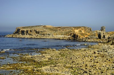 Papoa In Low Tide